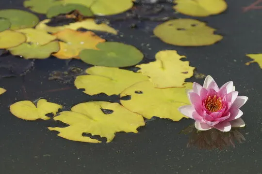 SG11选5平台界面预览