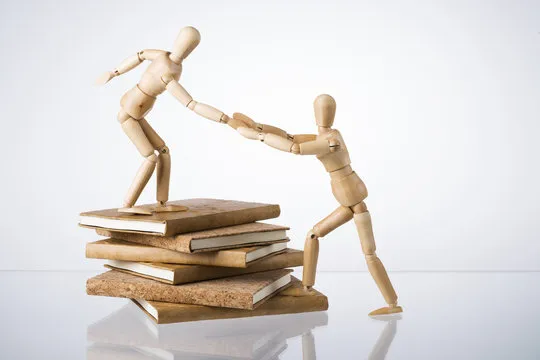 应用界面与数据展示